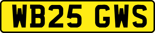 WB25GWS