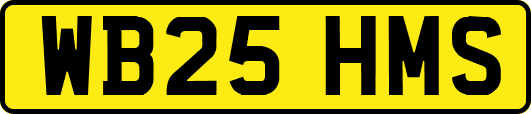 WB25HMS