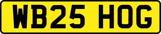 WB25HOG