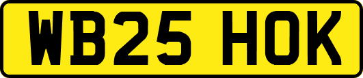 WB25HOK