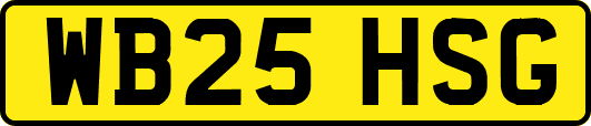 WB25HSG