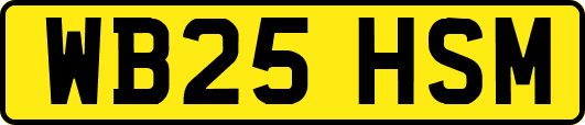 WB25HSM