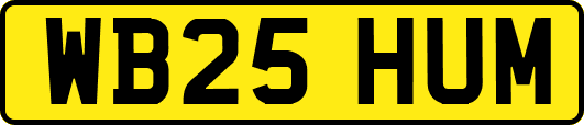 WB25HUM