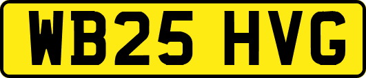 WB25HVG