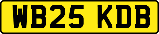 WB25KDB