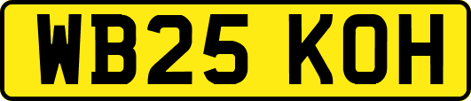 WB25KOH