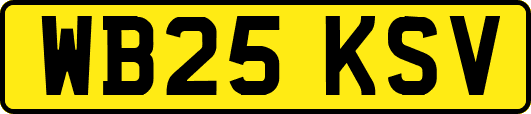 WB25KSV