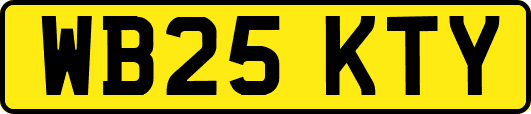 WB25KTY