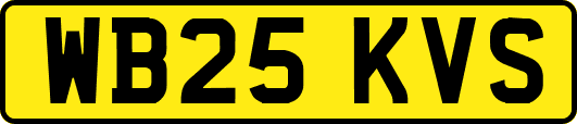 WB25KVS