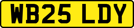 WB25LDY
