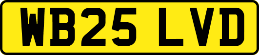 WB25LVD