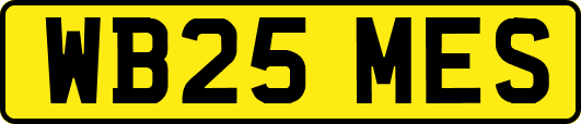 WB25MES