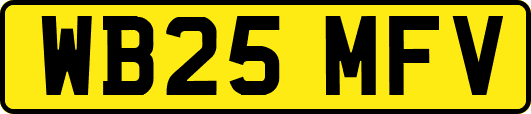 WB25MFV