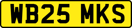 WB25MKS