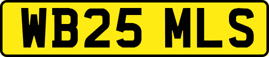 WB25MLS