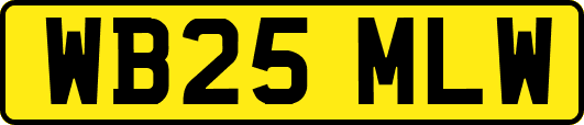 WB25MLW
