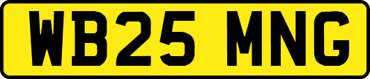 WB25MNG