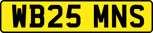 WB25MNS