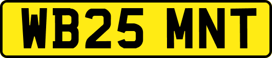 WB25MNT