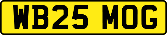 WB25MOG