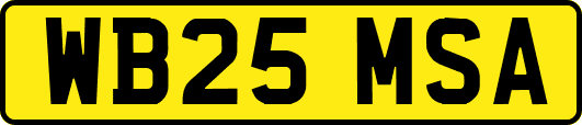 WB25MSA