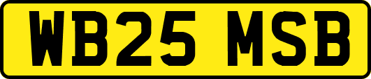 WB25MSB