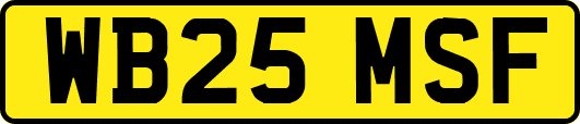 WB25MSF