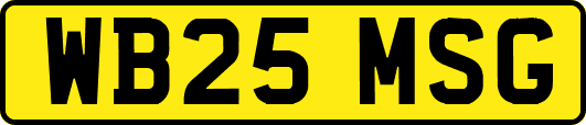WB25MSG