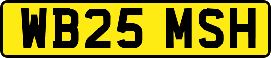 WB25MSH