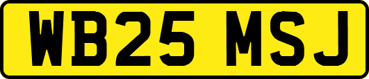 WB25MSJ