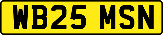 WB25MSN