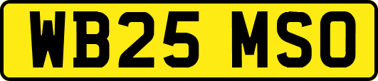 WB25MSO