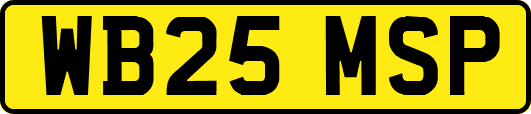 WB25MSP
