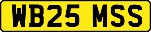 WB25MSS
