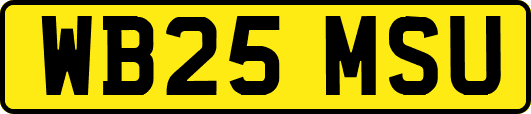WB25MSU