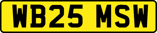 WB25MSW