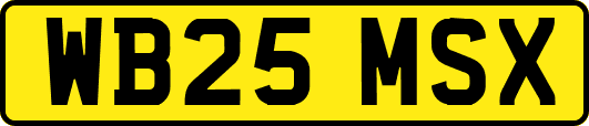 WB25MSX