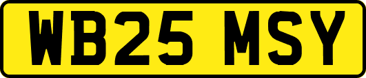 WB25MSY