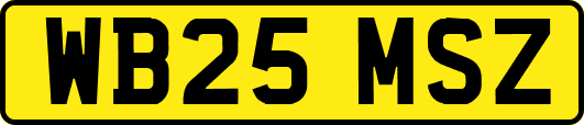 WB25MSZ