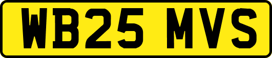 WB25MVS