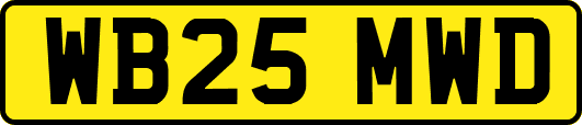 WB25MWD