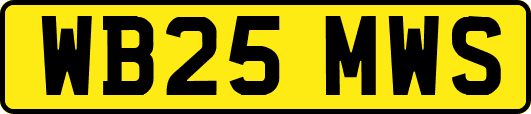 WB25MWS