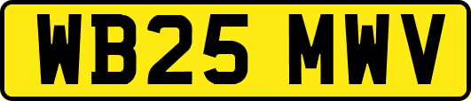 WB25MWV