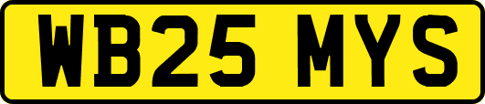 WB25MYS