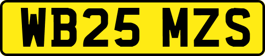 WB25MZS