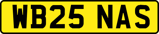 WB25NAS
