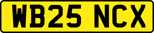 WB25NCX