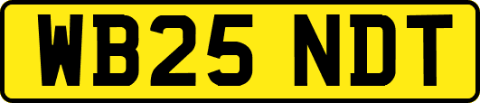 WB25NDT