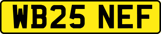 WB25NEF