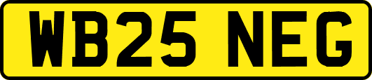 WB25NEG